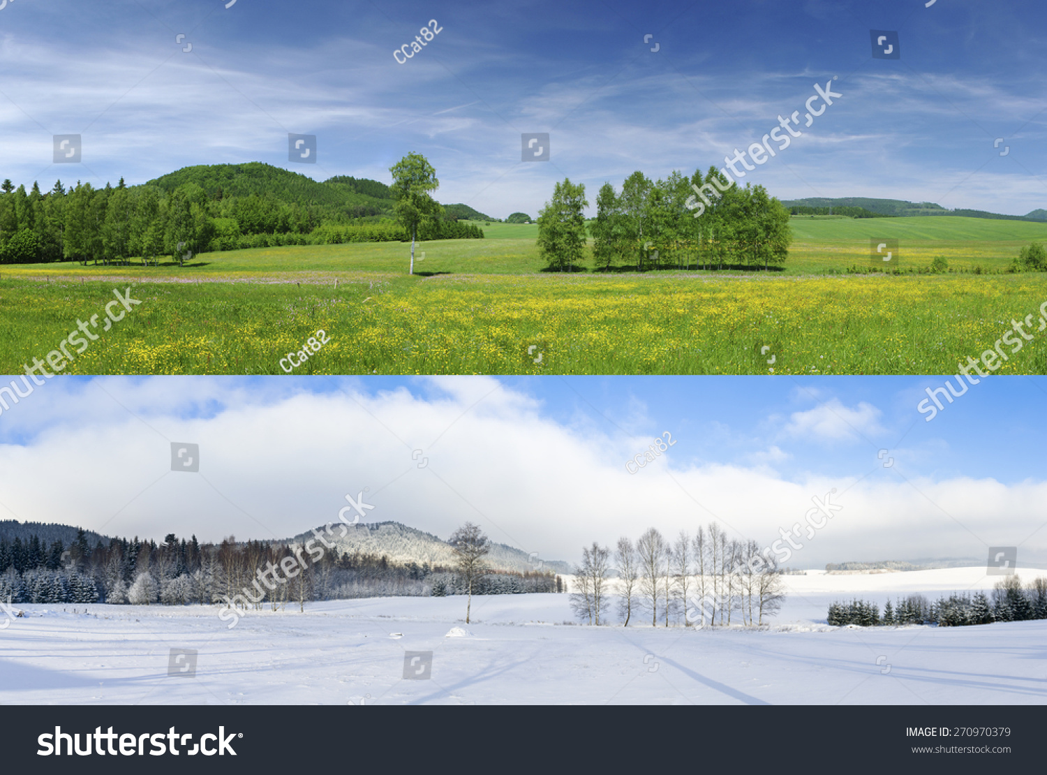Comparison of 2 seasons - winter and summer #270970379