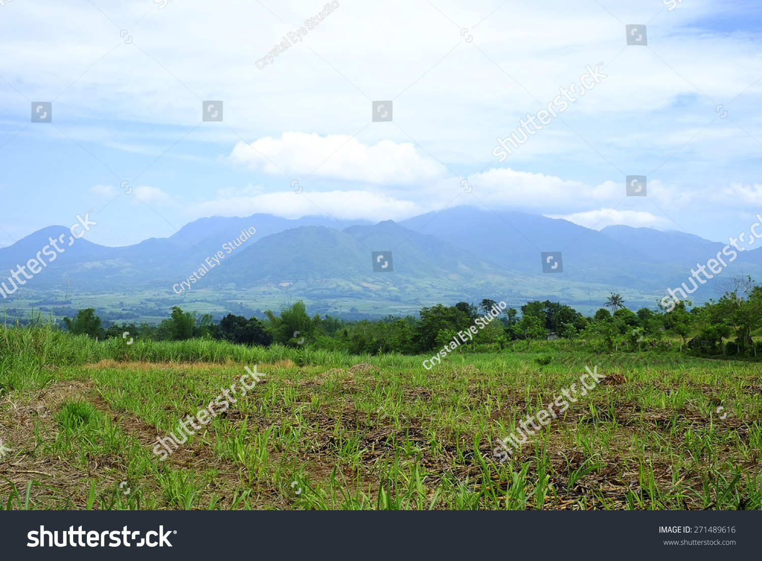 Mountain Ranges Of Mt. Kanlaon National Park - Royalty Free Stock Photo ...