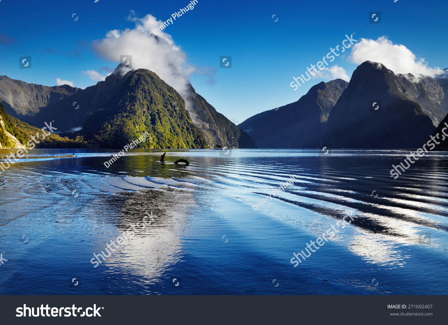 Fiord Milford Sound, South Island, New Zealand #271692407