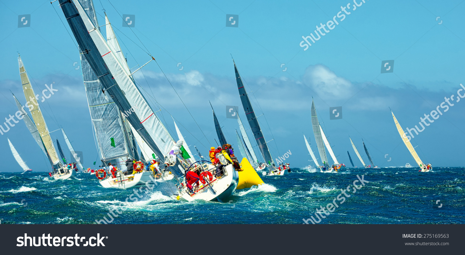 Sailing yachts regatta. Series yachts and ships #275169563