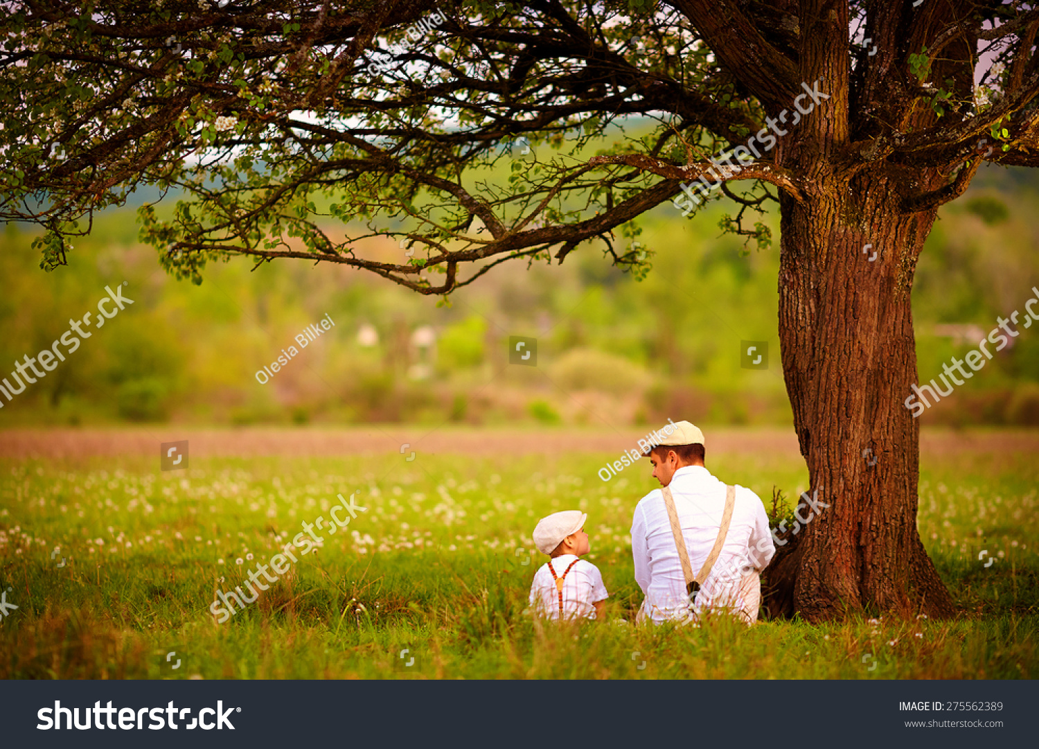 father and son sitting under the tree on spring lawn #275562389