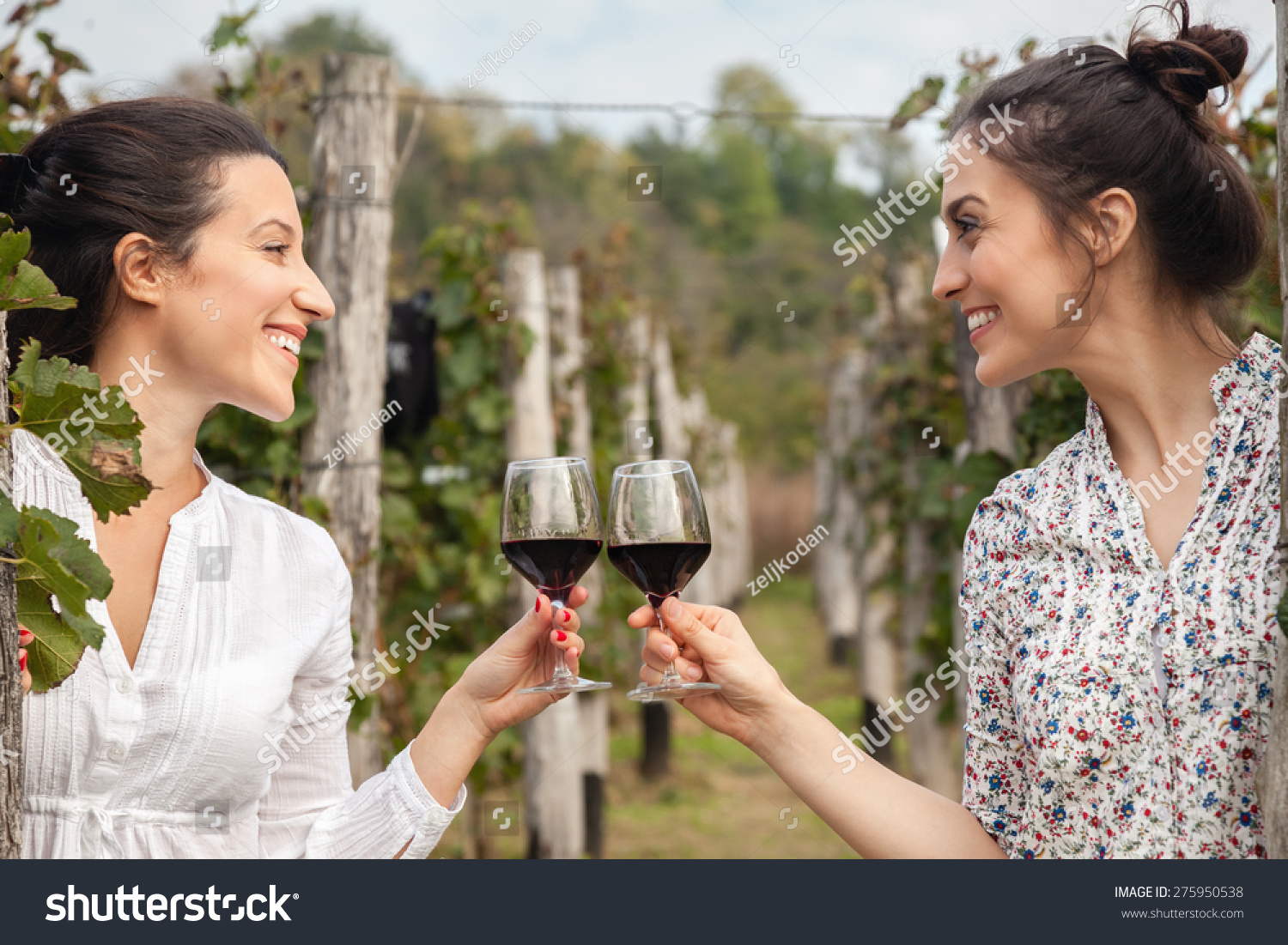 Two Beautiful Young Women Toasting With Wine In Vineyard #275950538