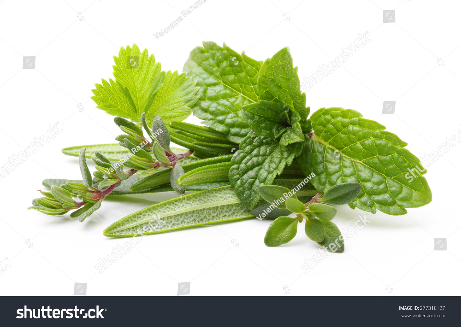 Fresh spices and herbs isolated on white background #277318127