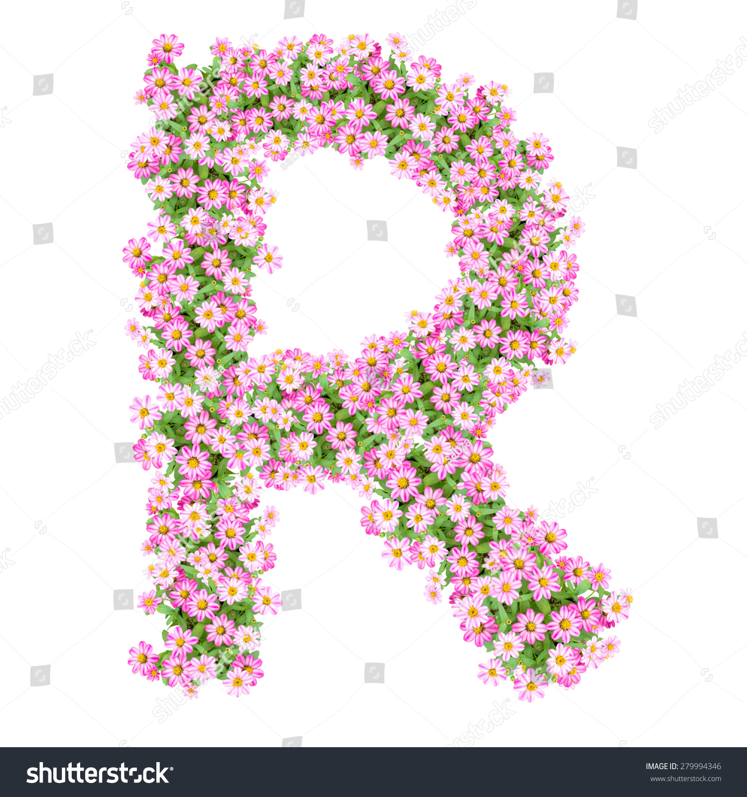 Letter R Alphabet With Zinnia Flower Abc Concept Royalty Free Stock Photo 279994346 Avopix Com