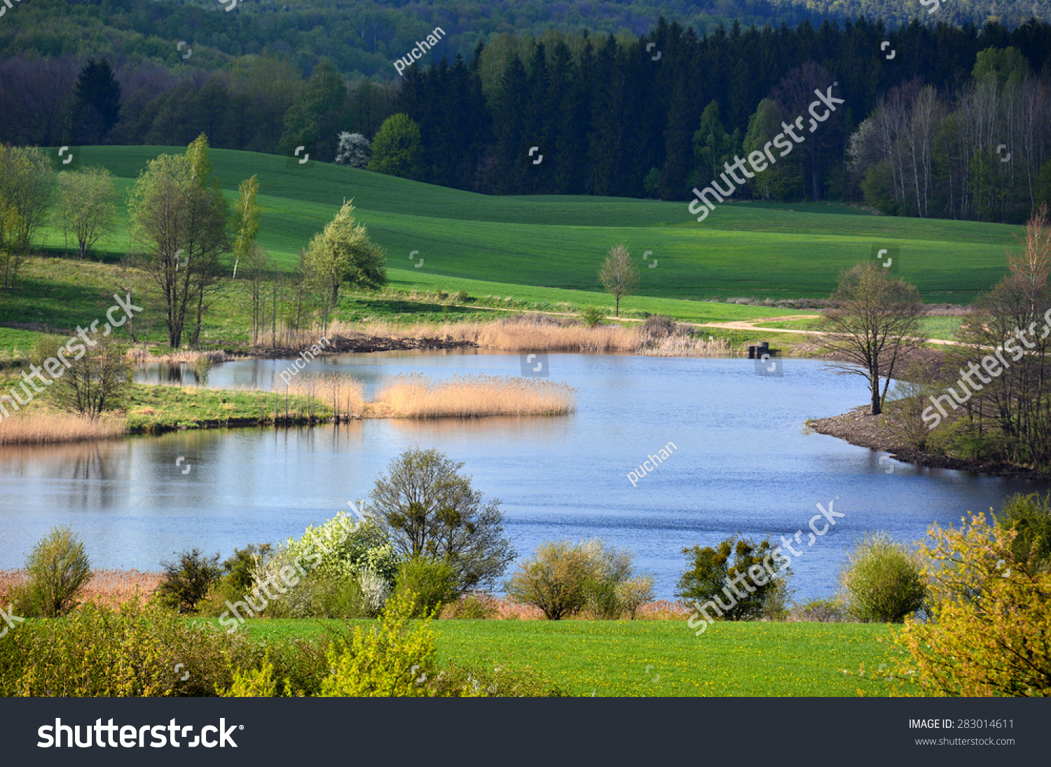 Spring landscape with lake #283014611