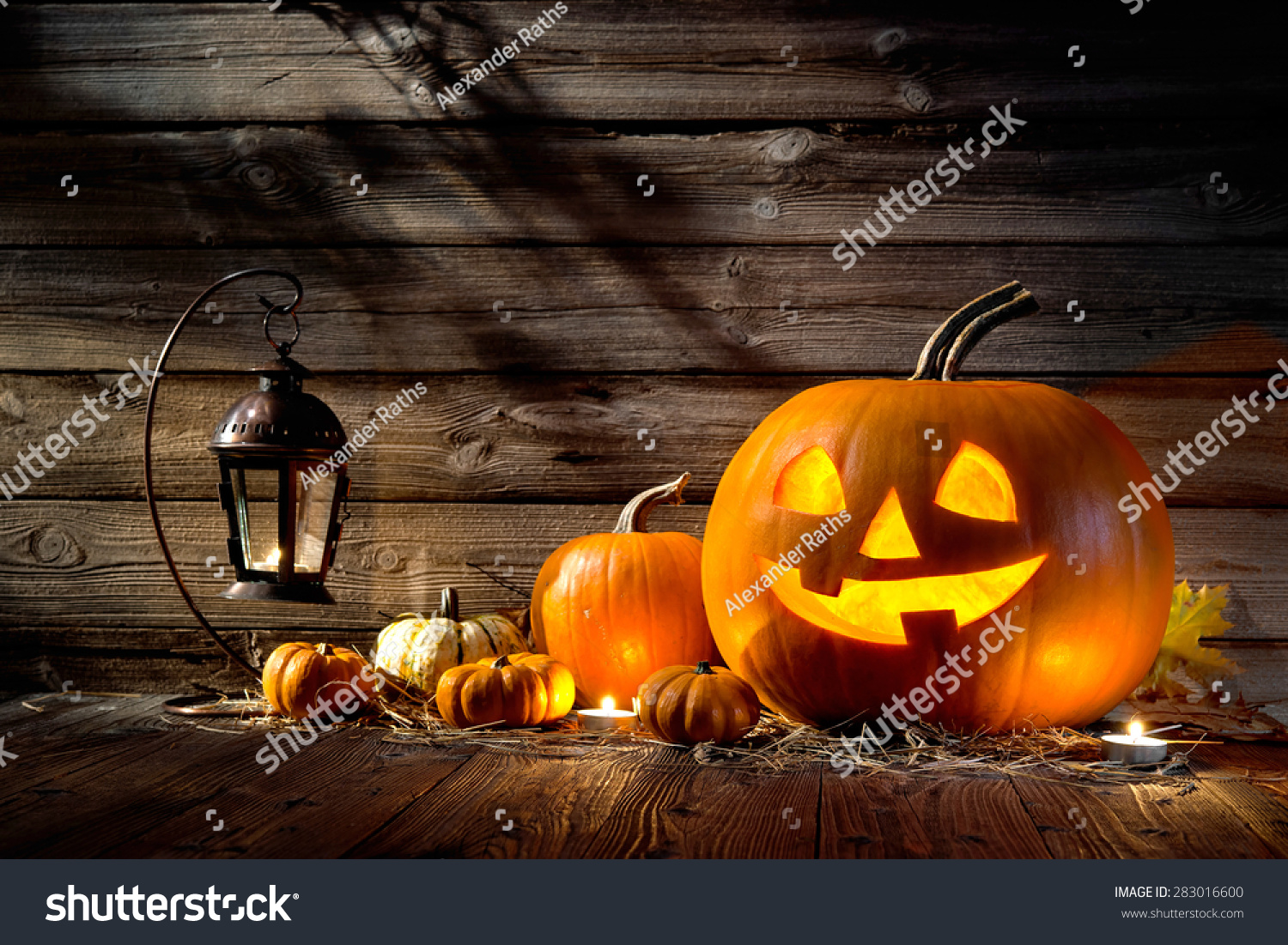 Halloween pumpkin head jack lantern on wooden background #283016600