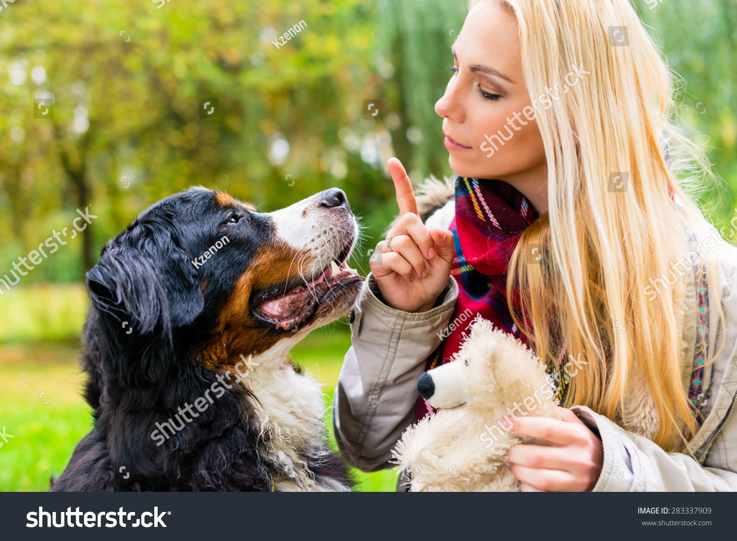 Girl in autumn park training her dog in obedience giving the sit command #283337909