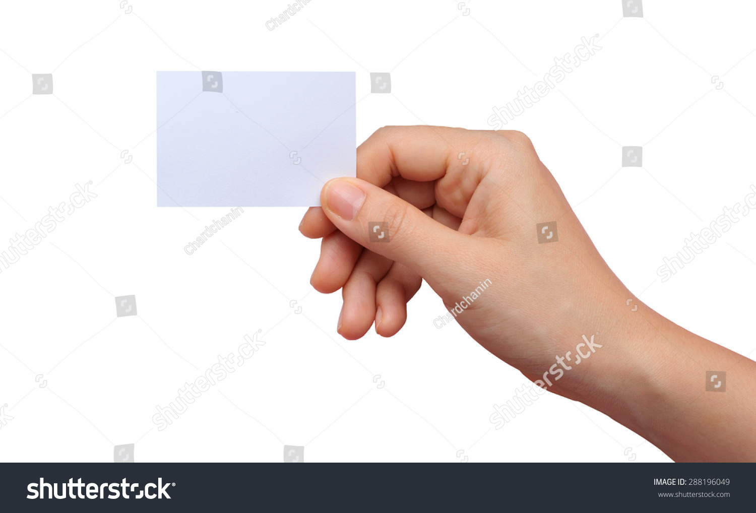 Hand holding paper isolated on white #288196049