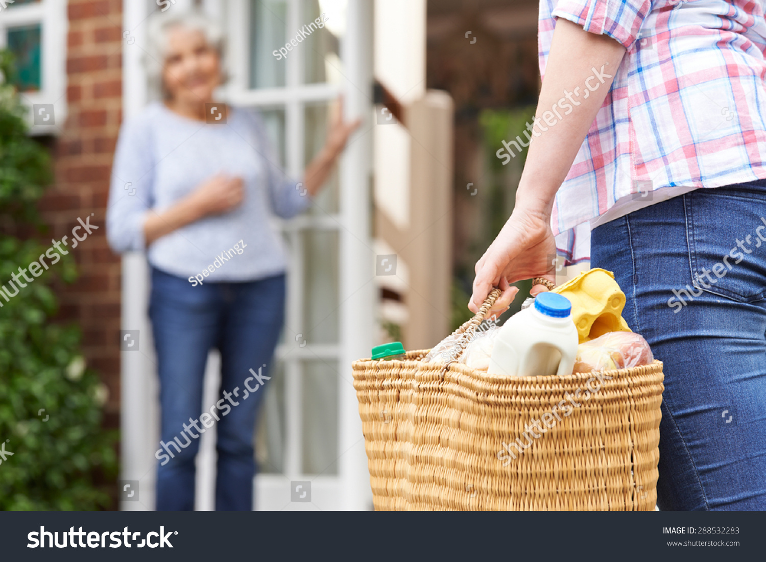 Person Doing Shopping For Elderly Neighbor #288532283