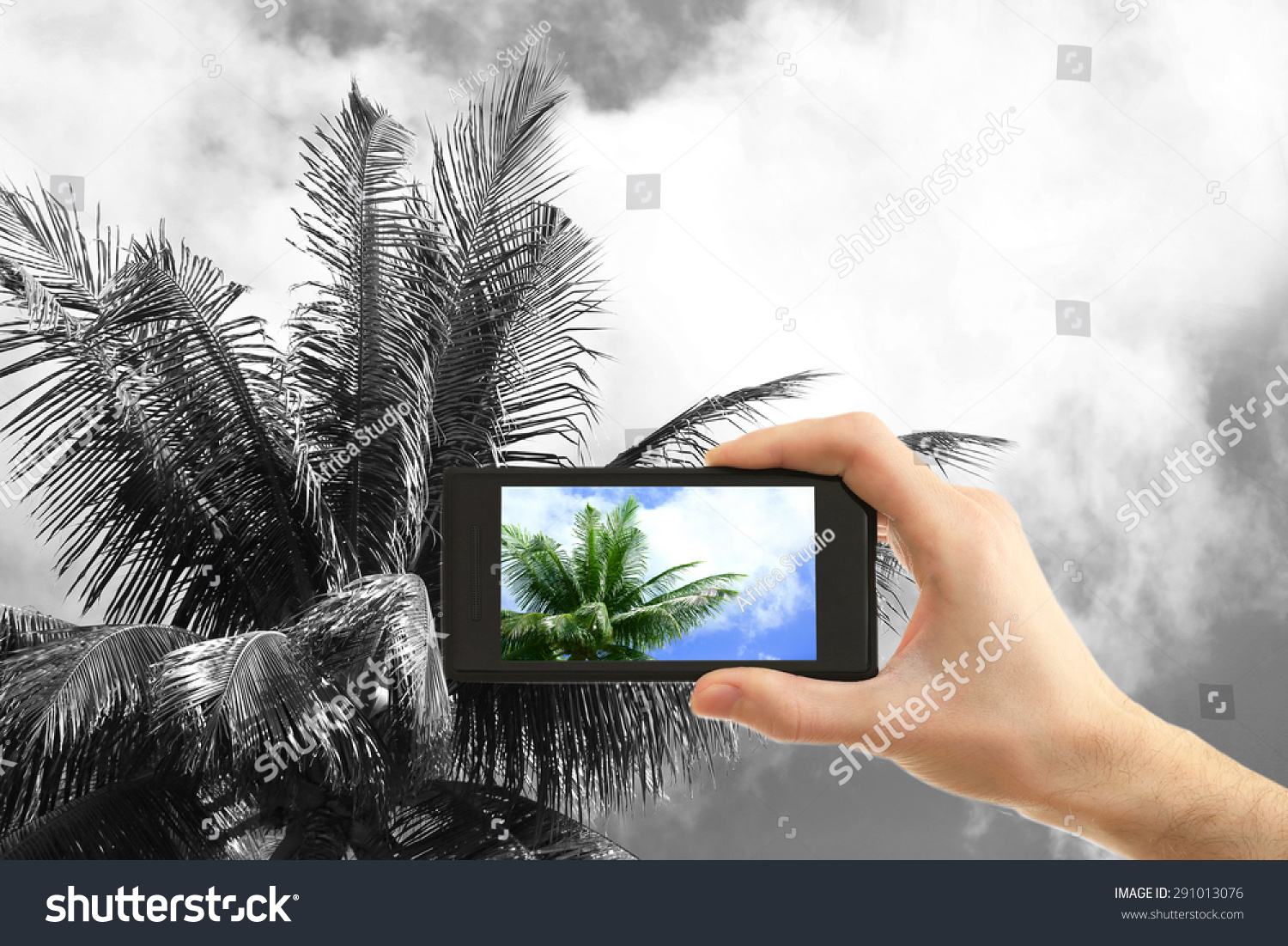 Hand taking photo of palm by smartphone #291013076