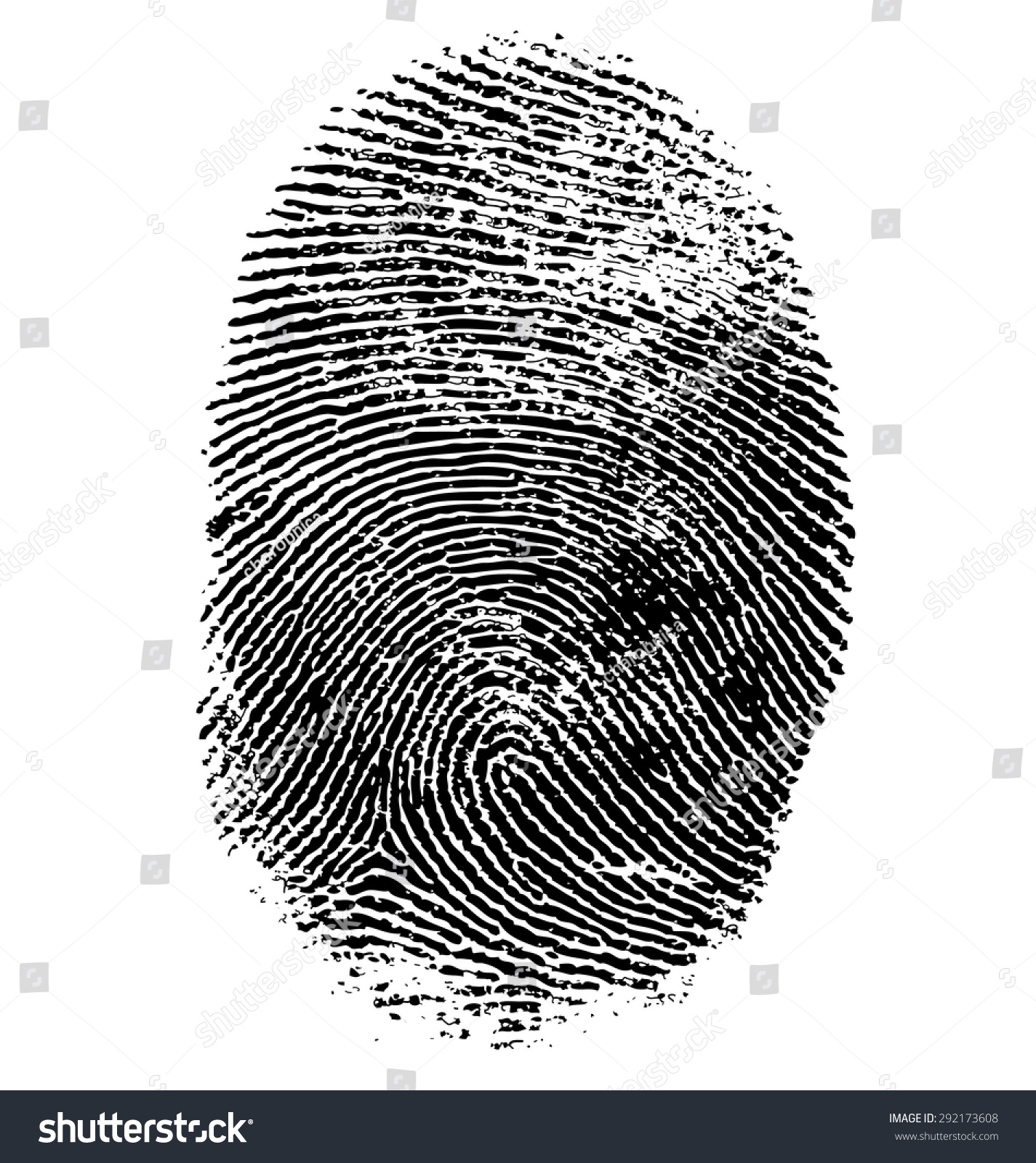 Vector illustration of fingerprint isolated on white #292173608