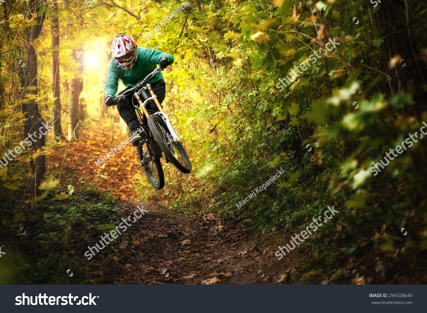 Mountainbiker rides in autumn forest #294328649