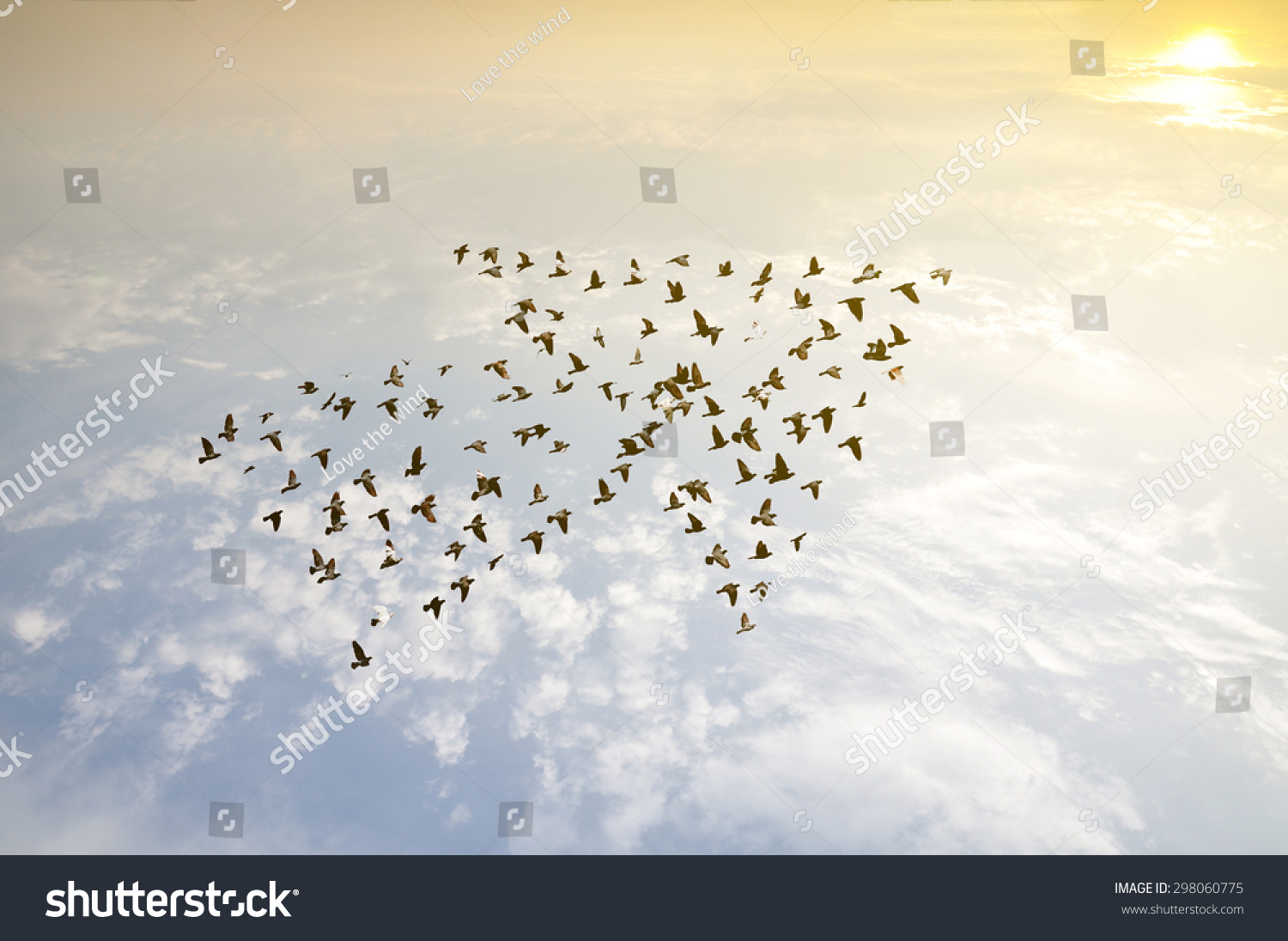 Crowd of birds flying on sky arrow shape , growth development progress success business team work concept , nature art abstract background #298060775