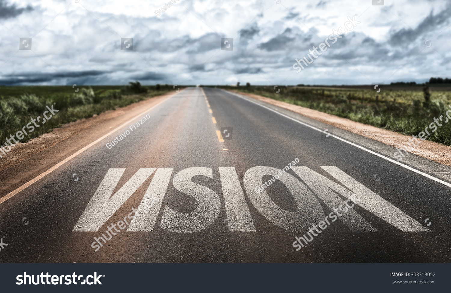 Vision written on road #303313052