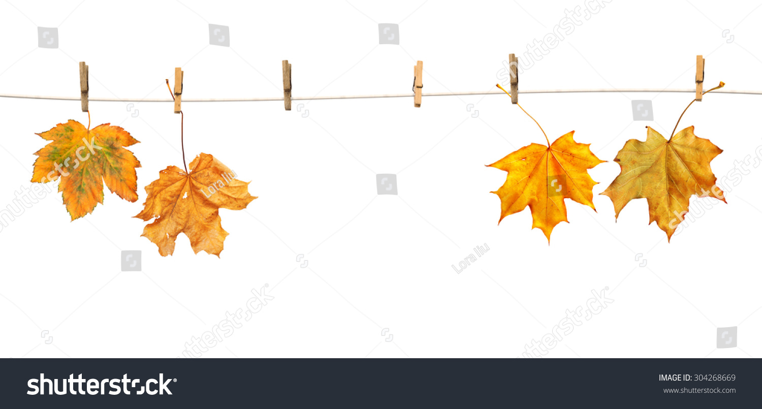 Maple leaves on clothespins with the word autumn, isolated on white background #304268669