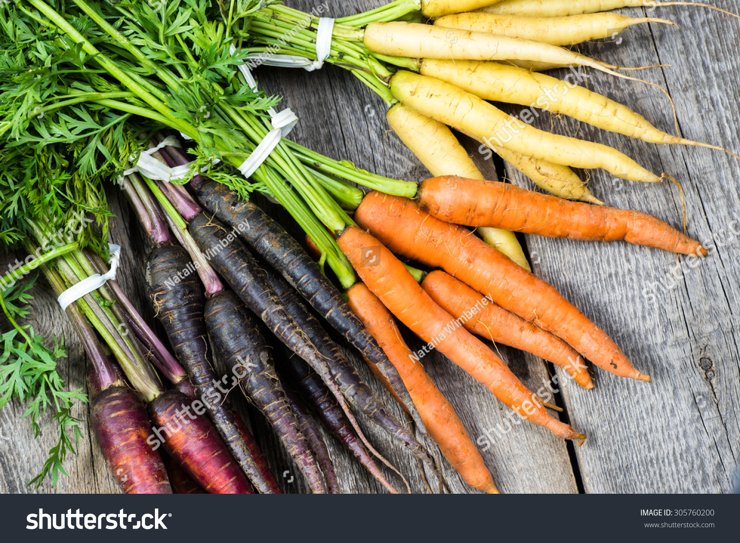 Close up of assorted fresh carrots. #305760200