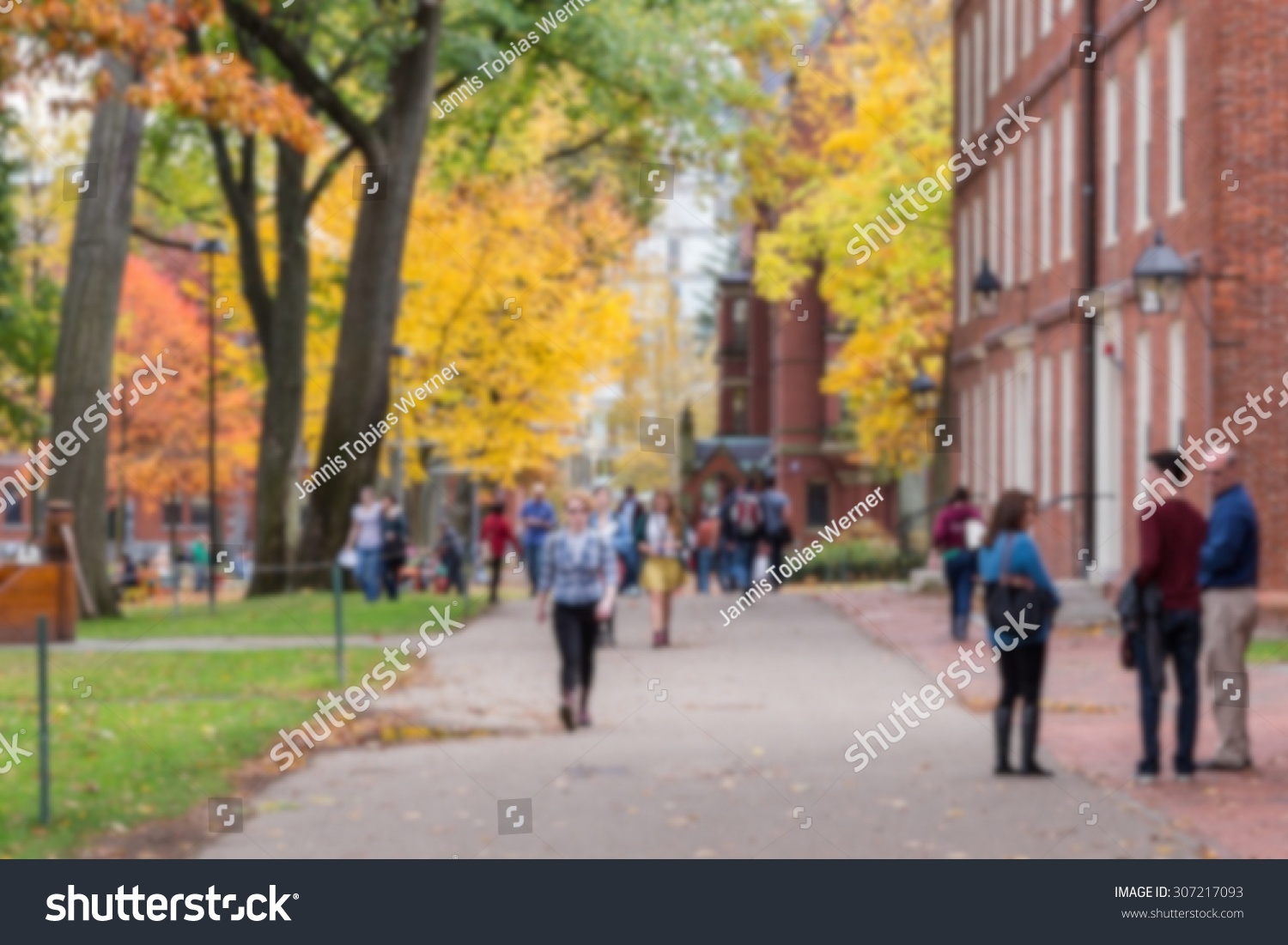 Blurred background of a university campus on a beautiful Fall day. #307217093