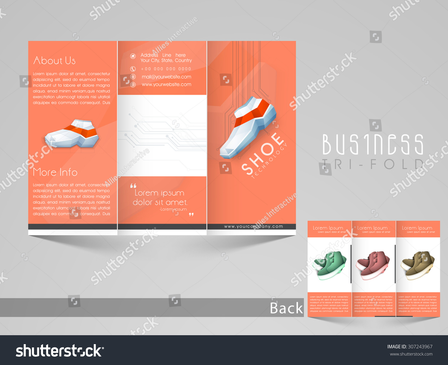 Professional Trifold Brochure Catalog And Flyer Royalty Free Stock Vector 307243967