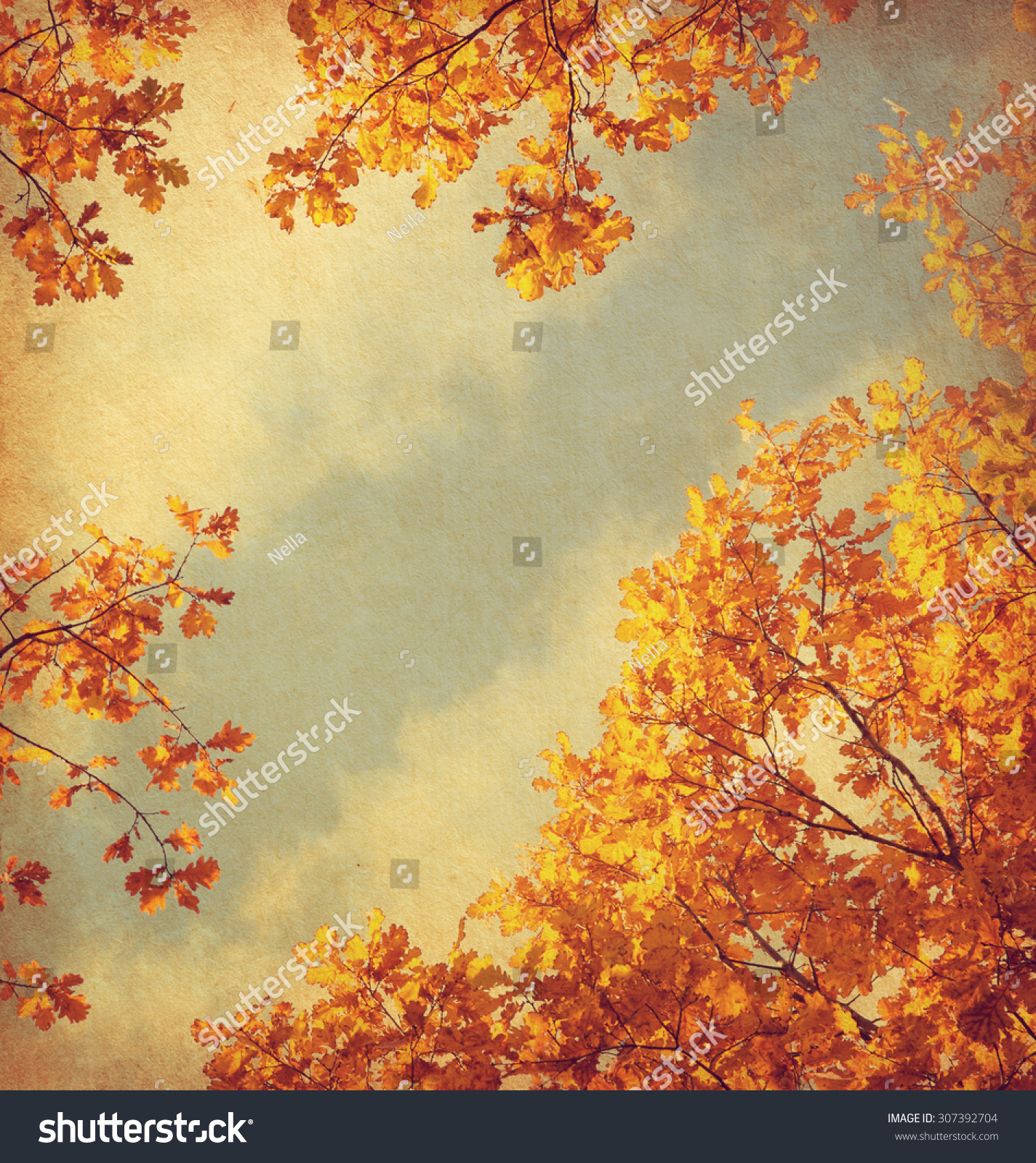 Retro image of Autumn leaves on the sky background. Added paper texture.  Toned image #307392704