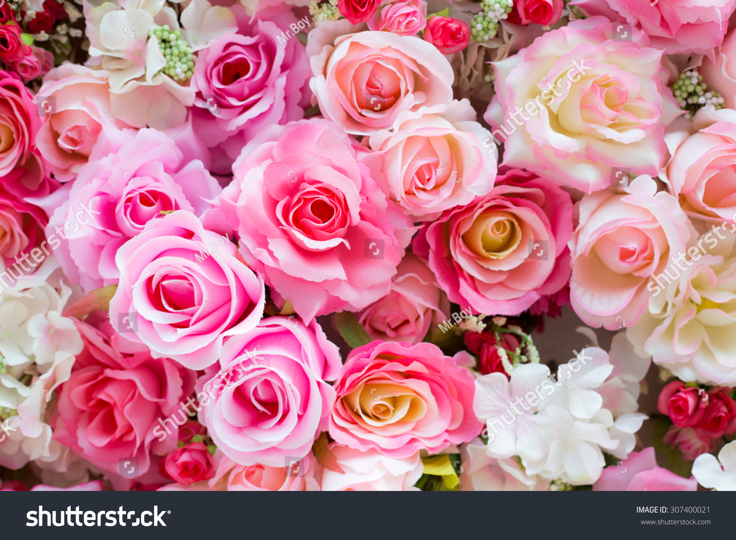 Soft color Roses Background #307400021