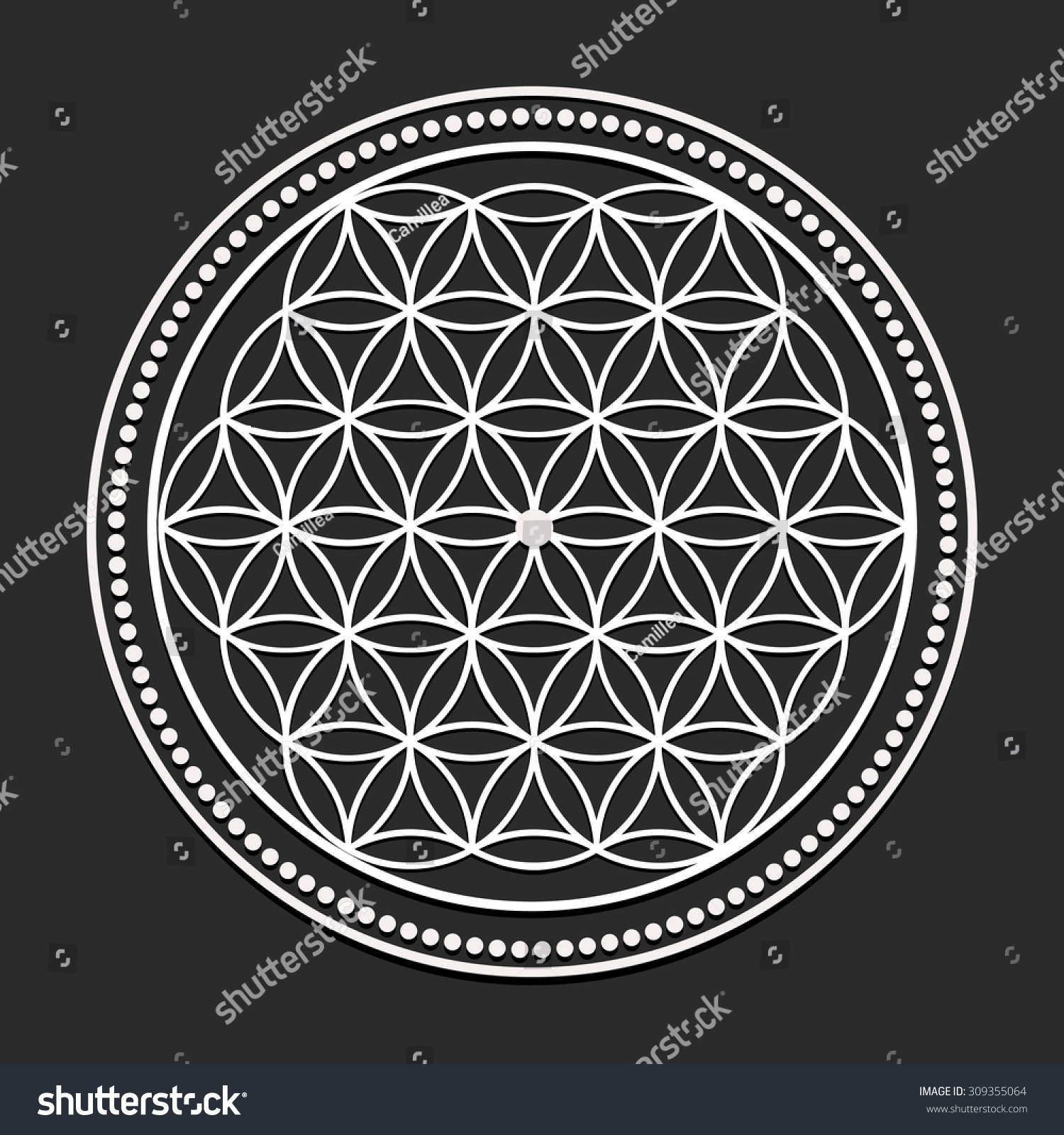 Vector Flower of Life Symbol Illustration - - Royalty Free Stock Vector ...