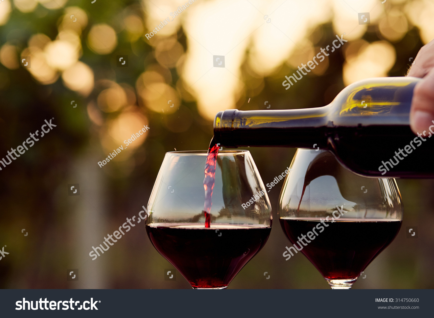 Pouring red wine into glasses in the vineyard, toned #314750660