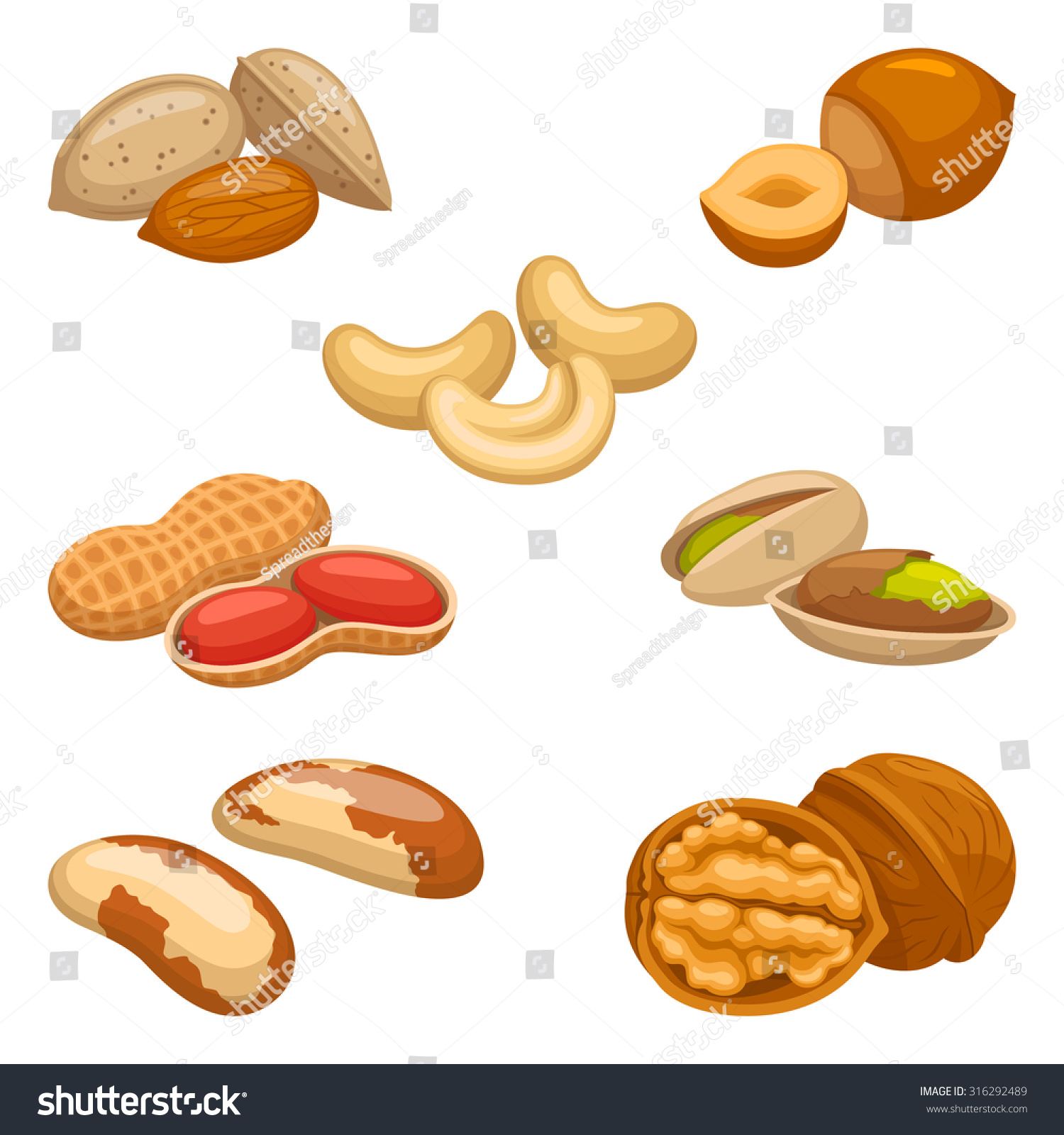 Set of nuts - Royalty Free Stock Vector 316292489 - Avopix.com