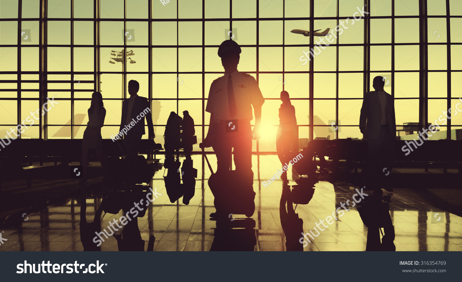 Back Lit Business People Traveling Airplane Airport Concept #316354769