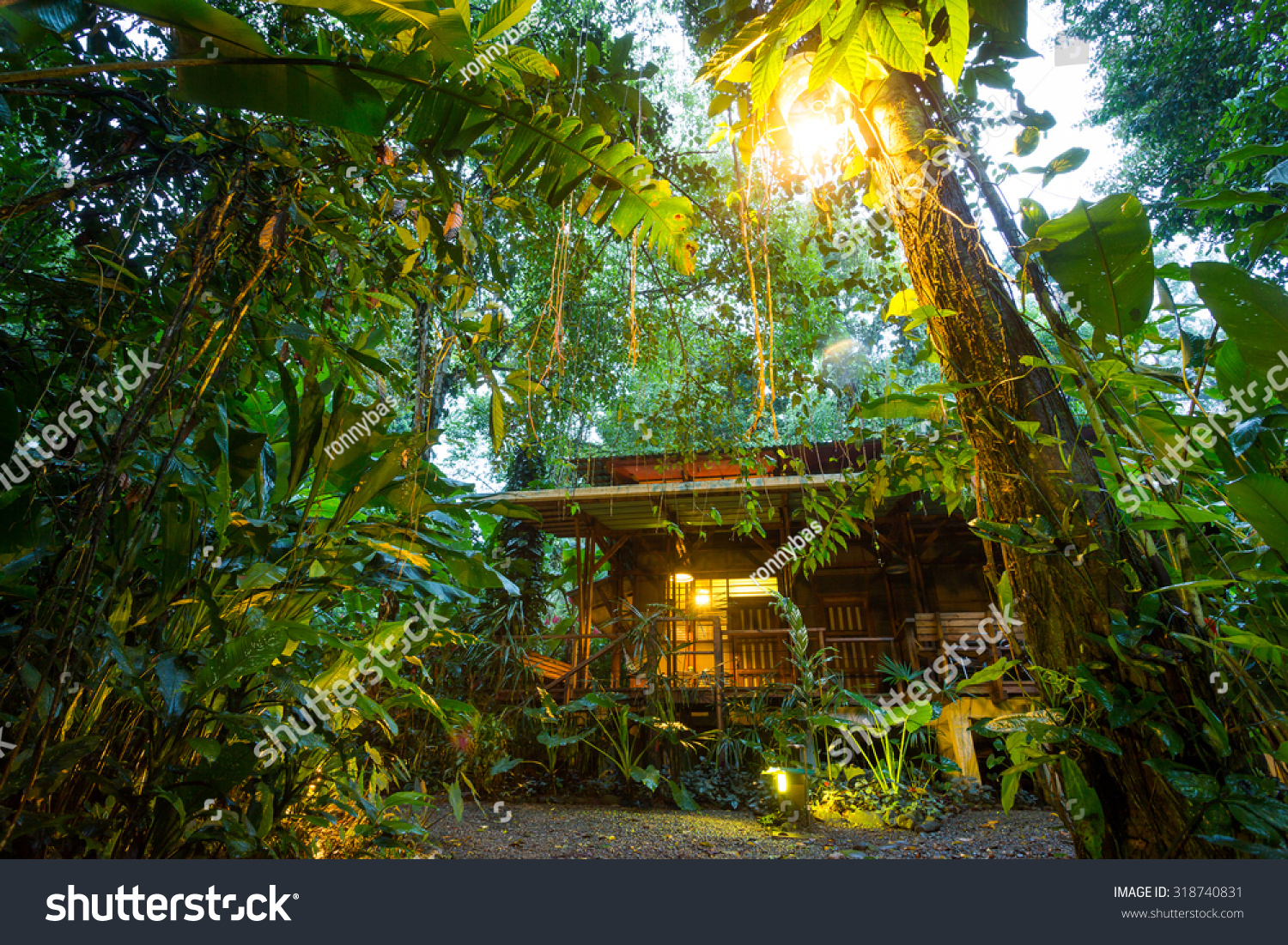 Costa Rica, eco lodge in the rainforest at Puerto Viejo de Talamanca, luxury lodging #318740831