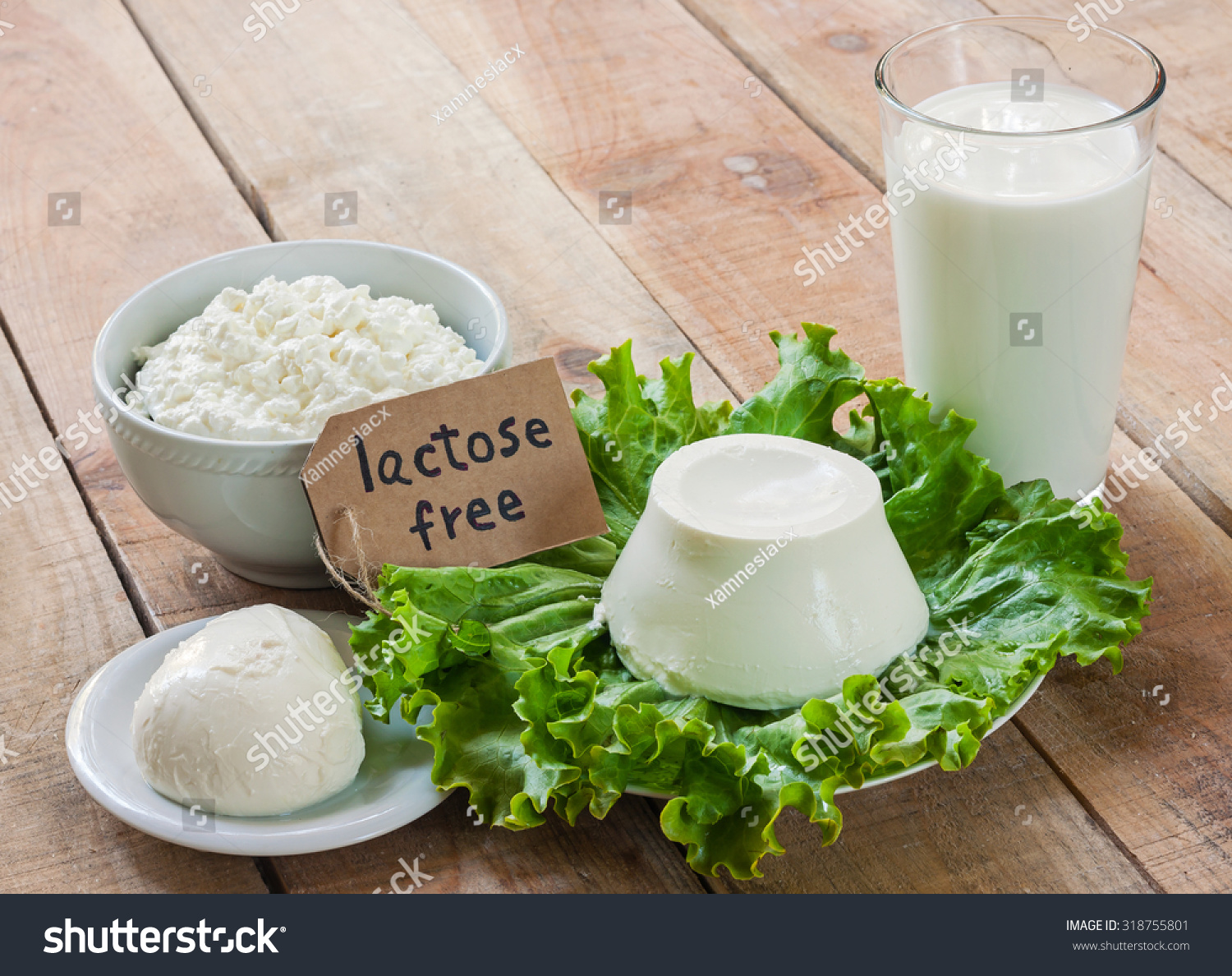 lactose free intolerance - food with background #318755801