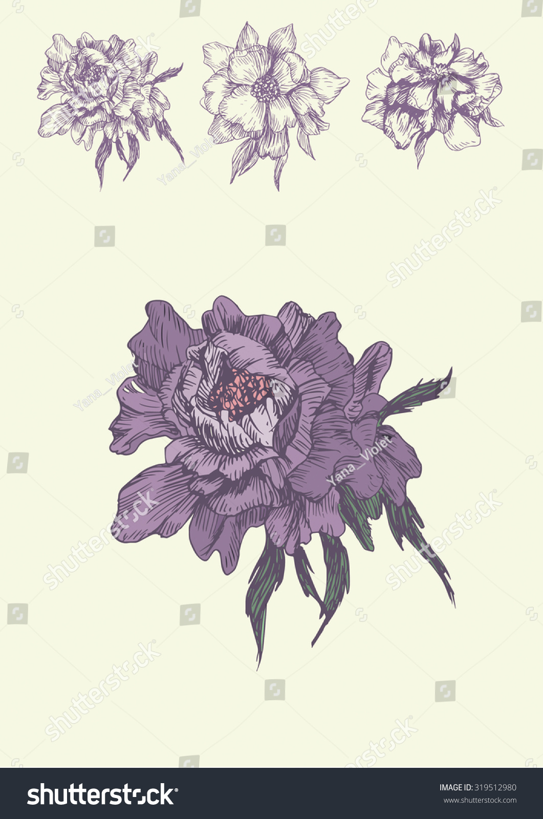Illustration with violet peony #319512980