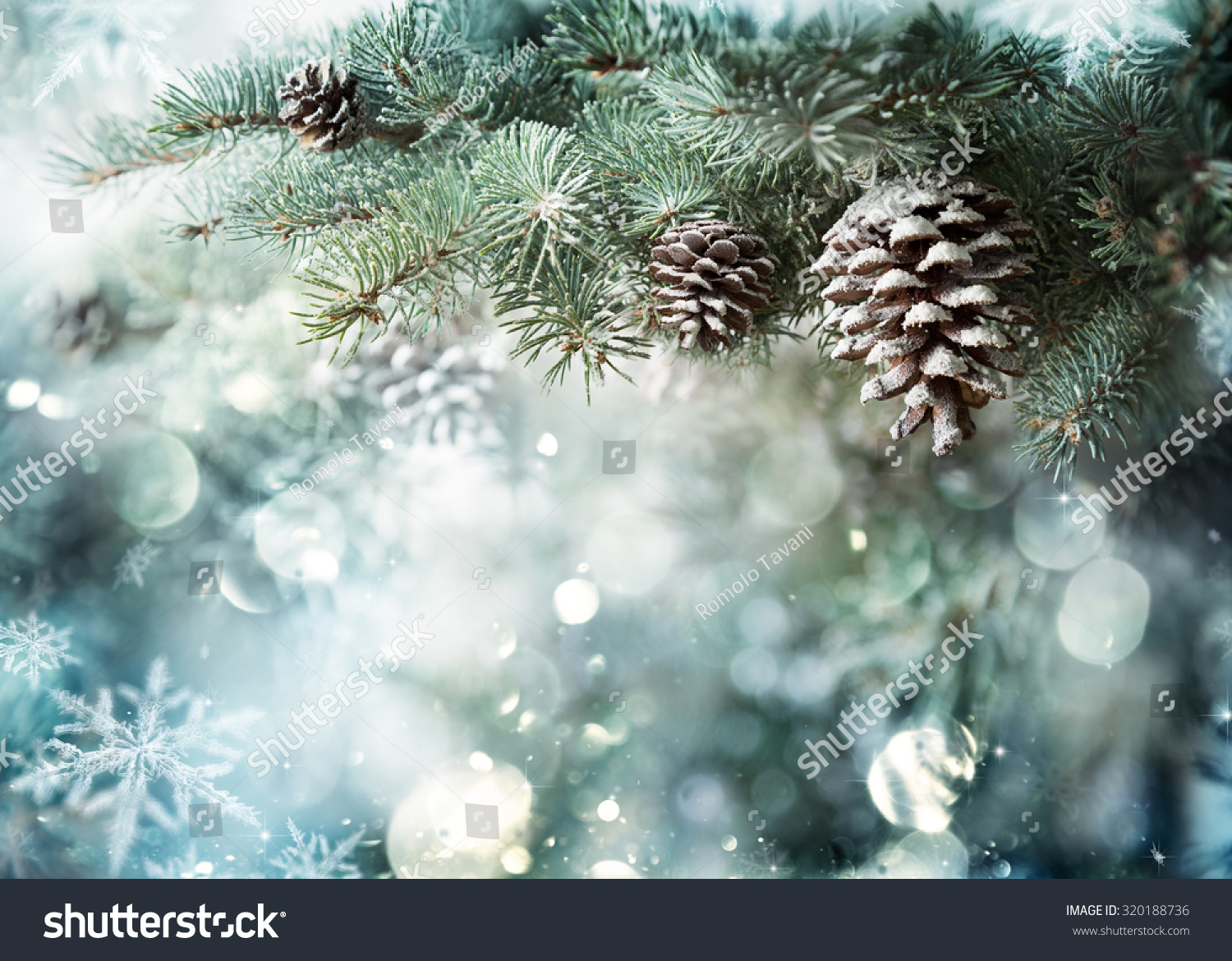 Fir Branch With Pine Cone And Snow Flakes - Christmas Holidays Background
 #320188736