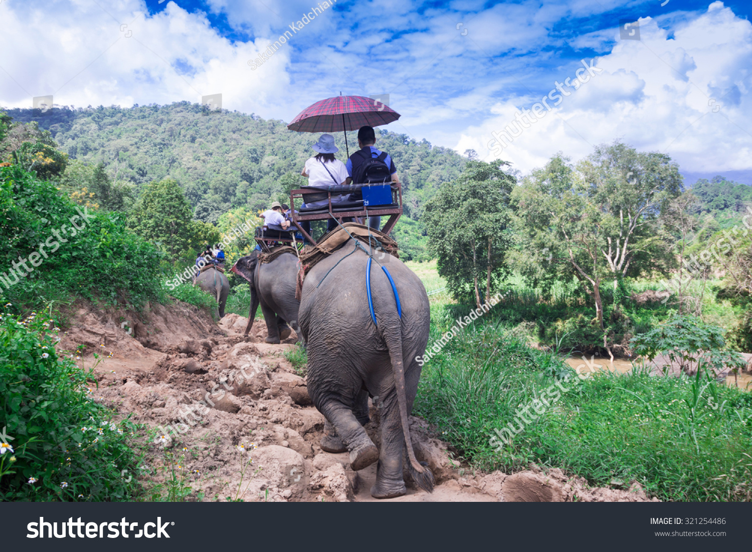 Group tourists to ride on an elephant in forest Chiang mai, Thailand #321254486