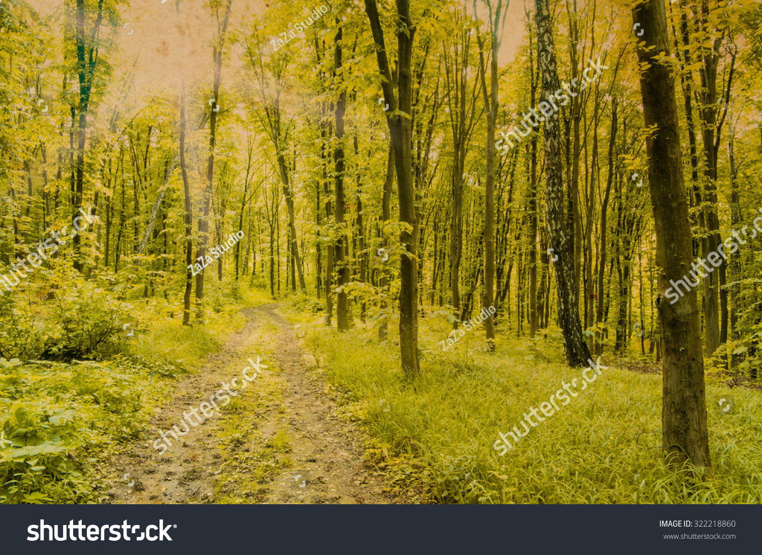 Nature background of green forest #322218860