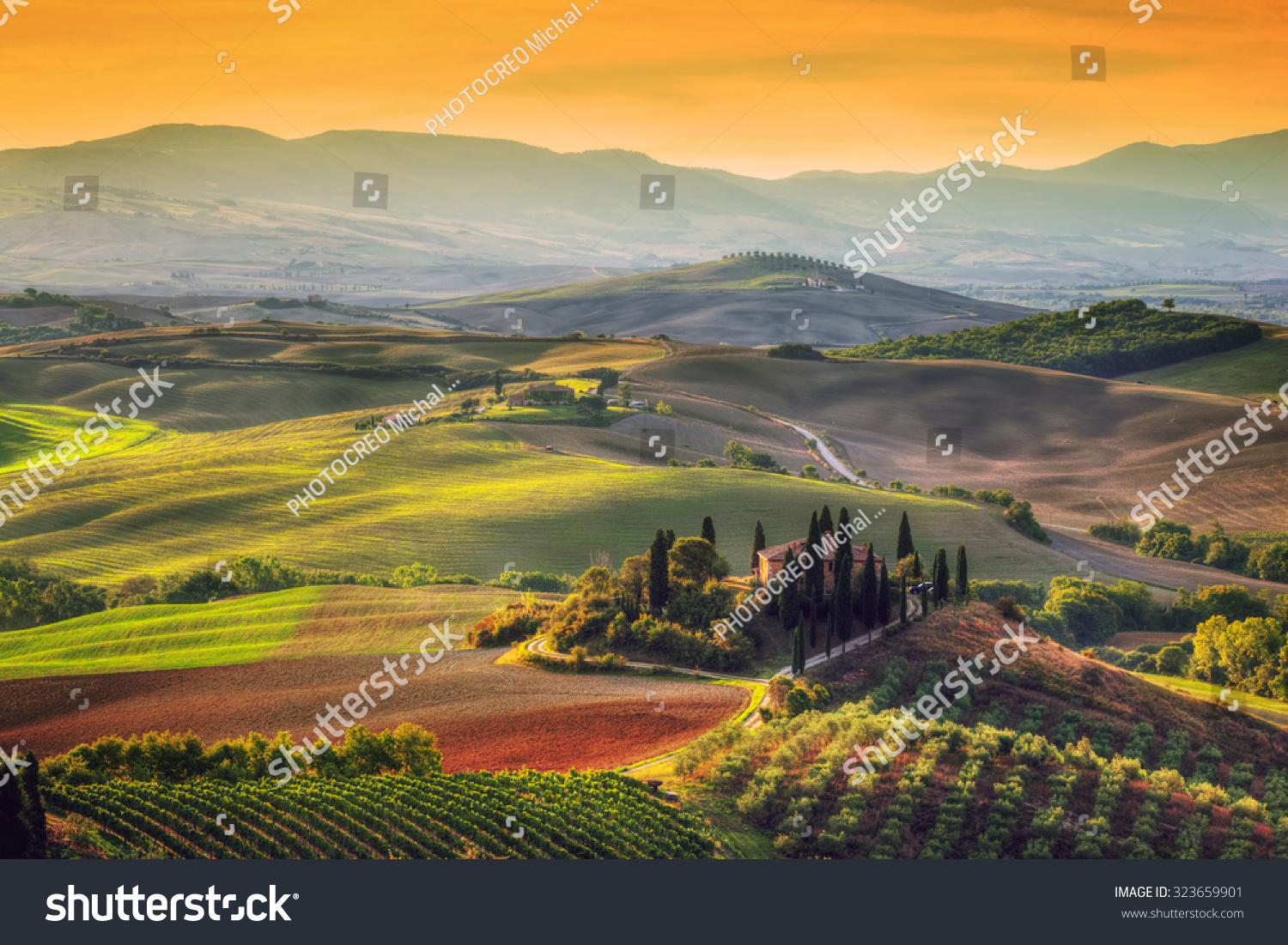 Tuscany landscape at sunrise. Typical for the region tuscan farm house, hills, vineyard. Italy #323659901