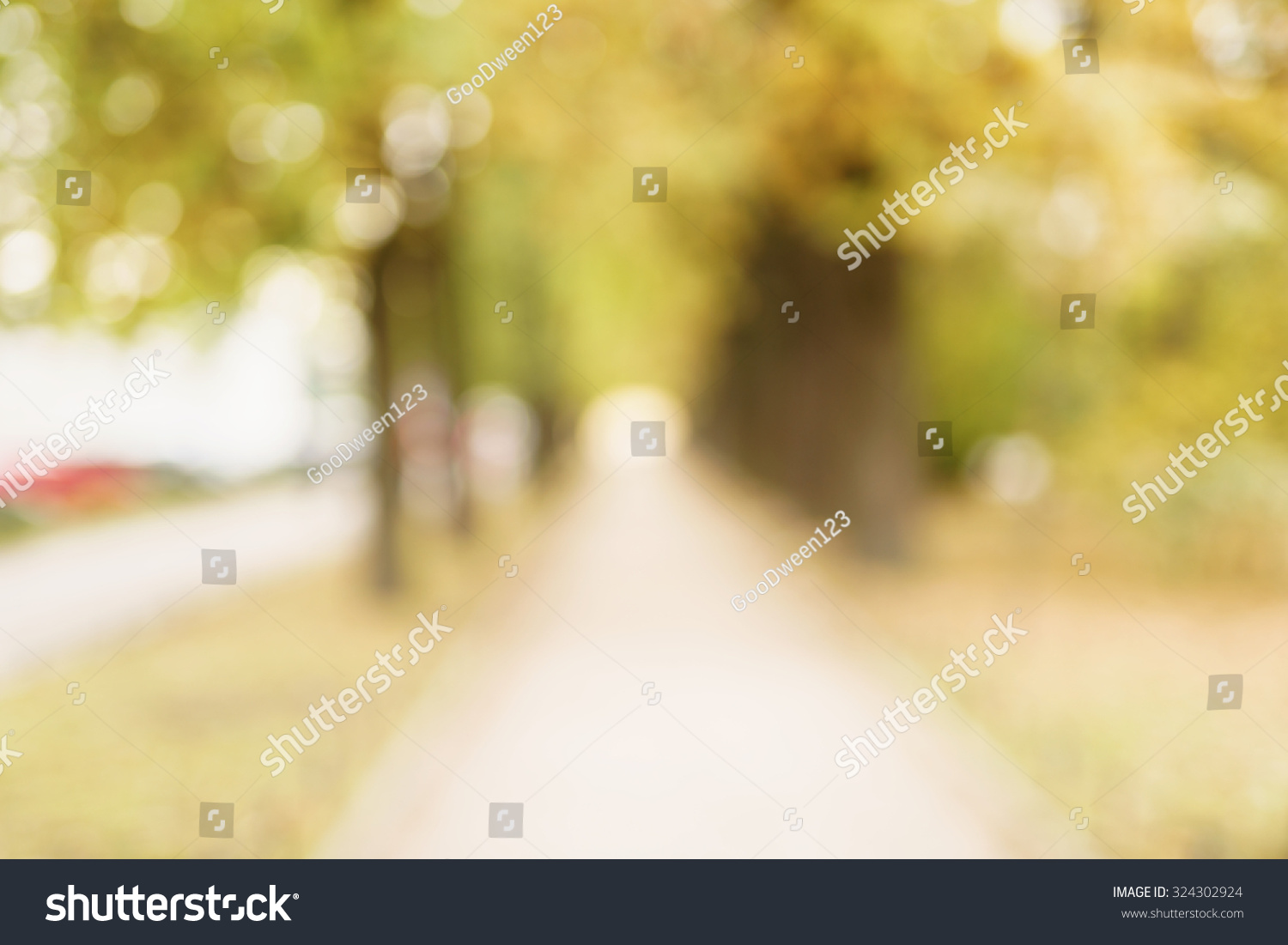 blurred bokeh background of autumn park, real photo #324302924