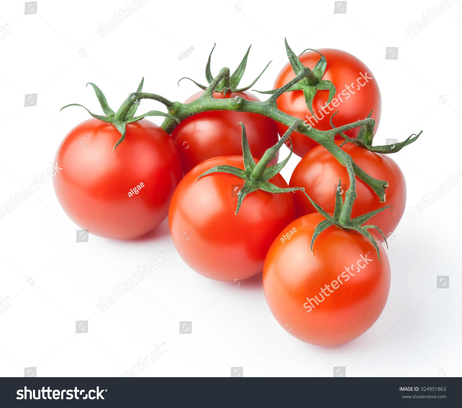 Ripe fresh cherry tomatoes on branch Isolated on white background #324951863