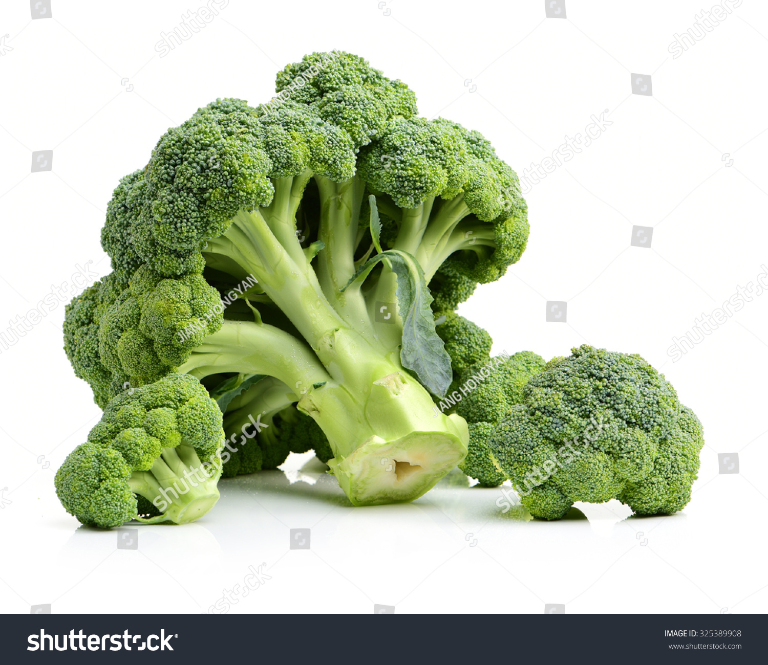 Broccoli vegetable on white background  #325389908