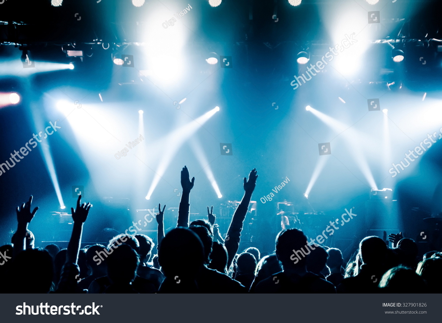 Hand fans during a concert #327901826