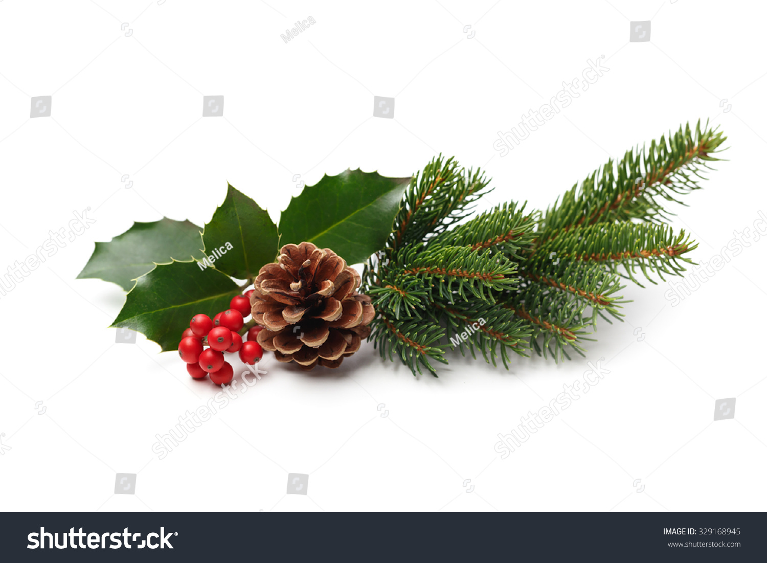 Christmas decoration of holly berry and pine cone #329168945