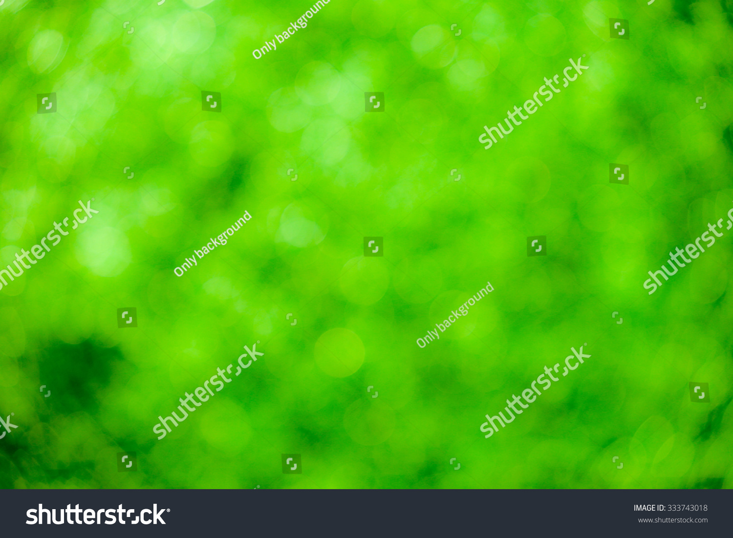 Green bokeh soft background #333743018