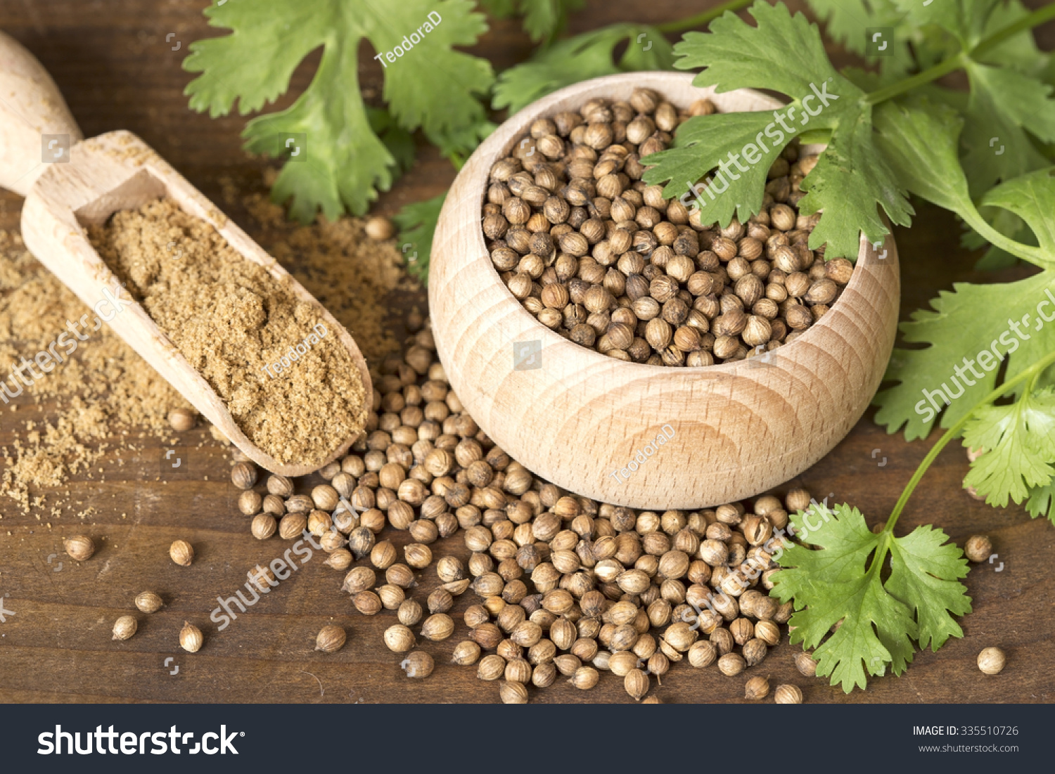 Coriander seeds and leaves on a wooden background #335510726