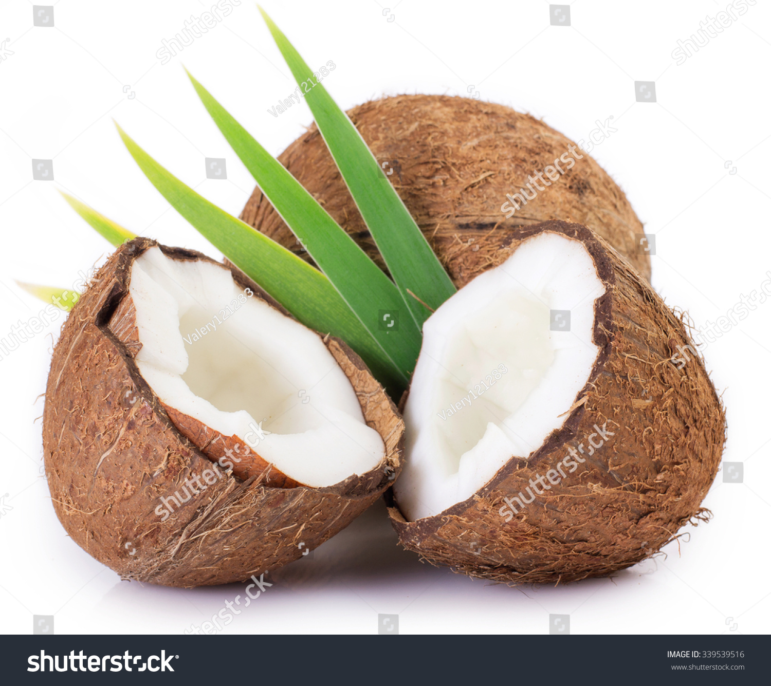 coconut isolated on white background #339539516
