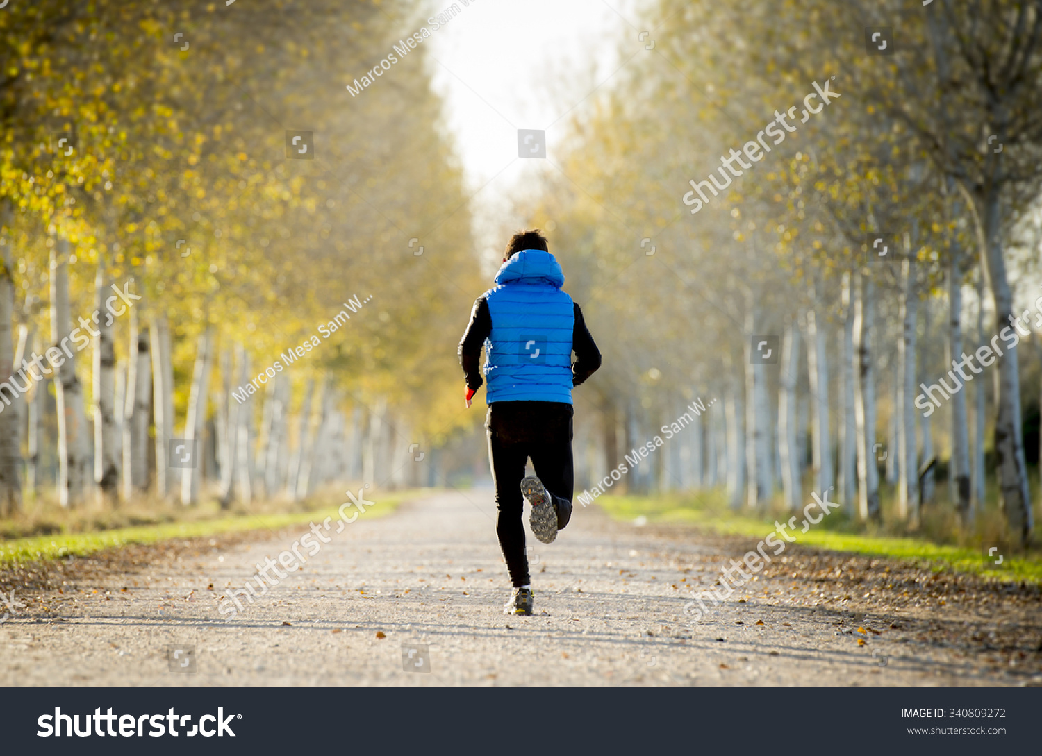 back view young sport man running outdoors in off road trail track with trees in Autumn sunlight wearing jogging vest and sunglasses in fitness, countryside training and healthy lifestyle concept #340809272