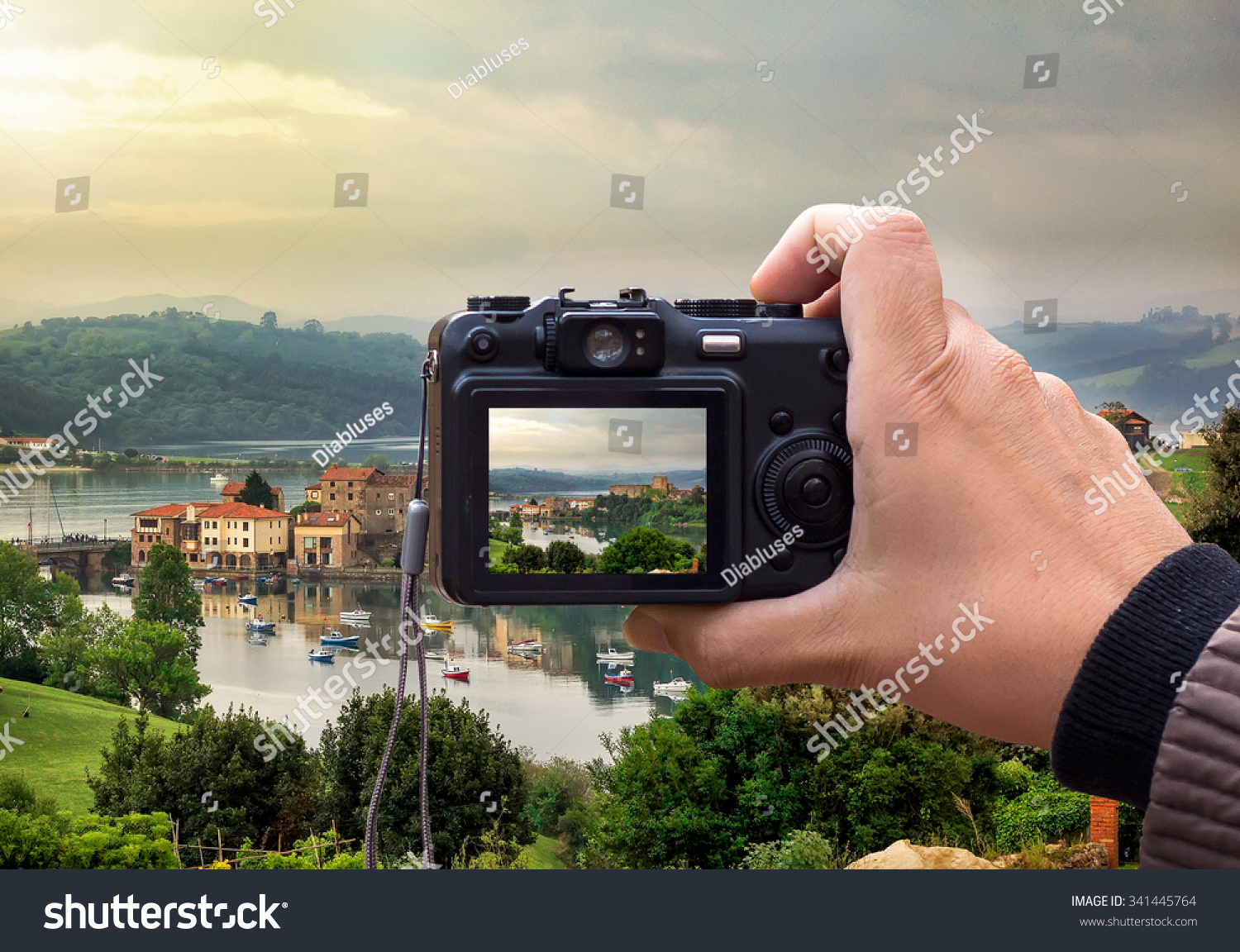 hand holding the Digital camera, shoot of landscape photo using liveview #341445764