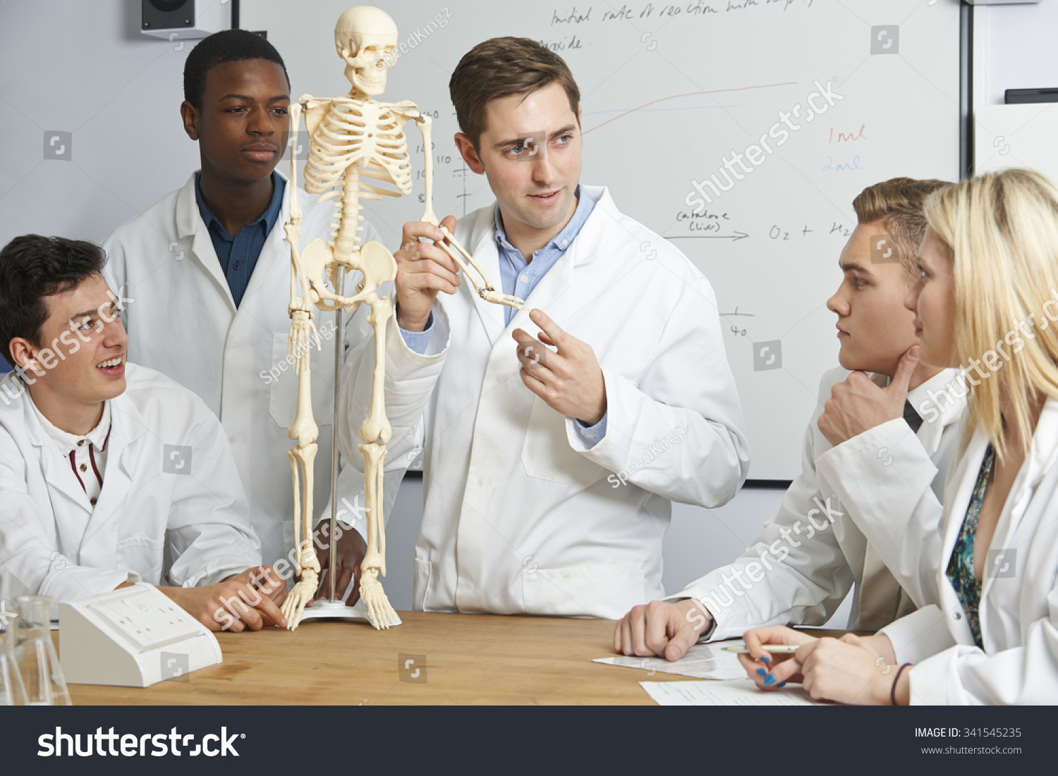 Teacher With Model Of Human Skeleton In Biology Class #341545235