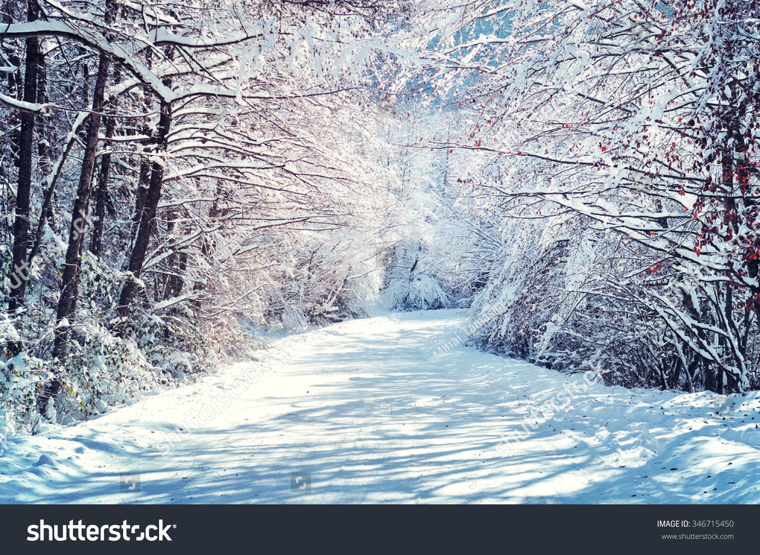 Scenic winter road through forest covered in snow after snowfall #346715450