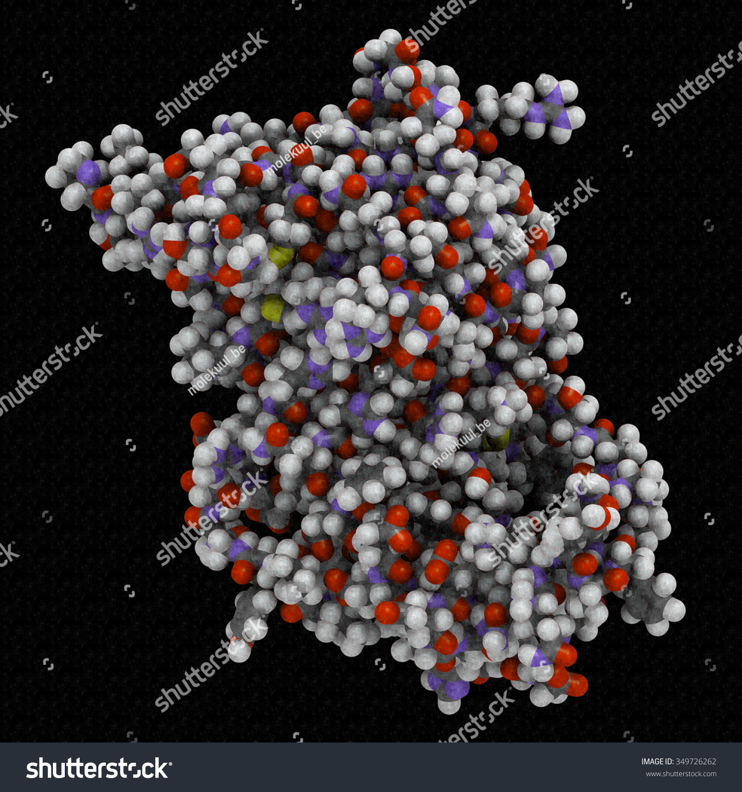 Human growth hormone (hGH, Somatotropin) - Royalty Free Stock Photo ...