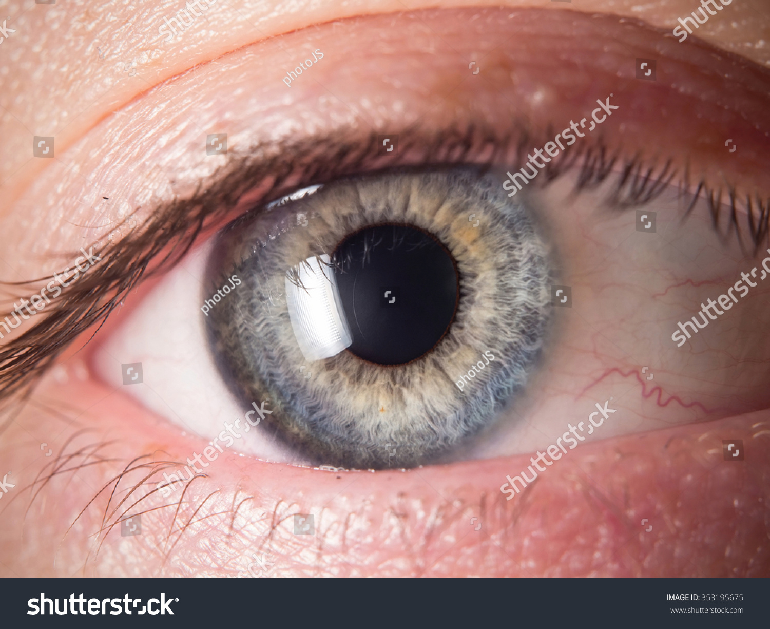 Human eye detail #353195675