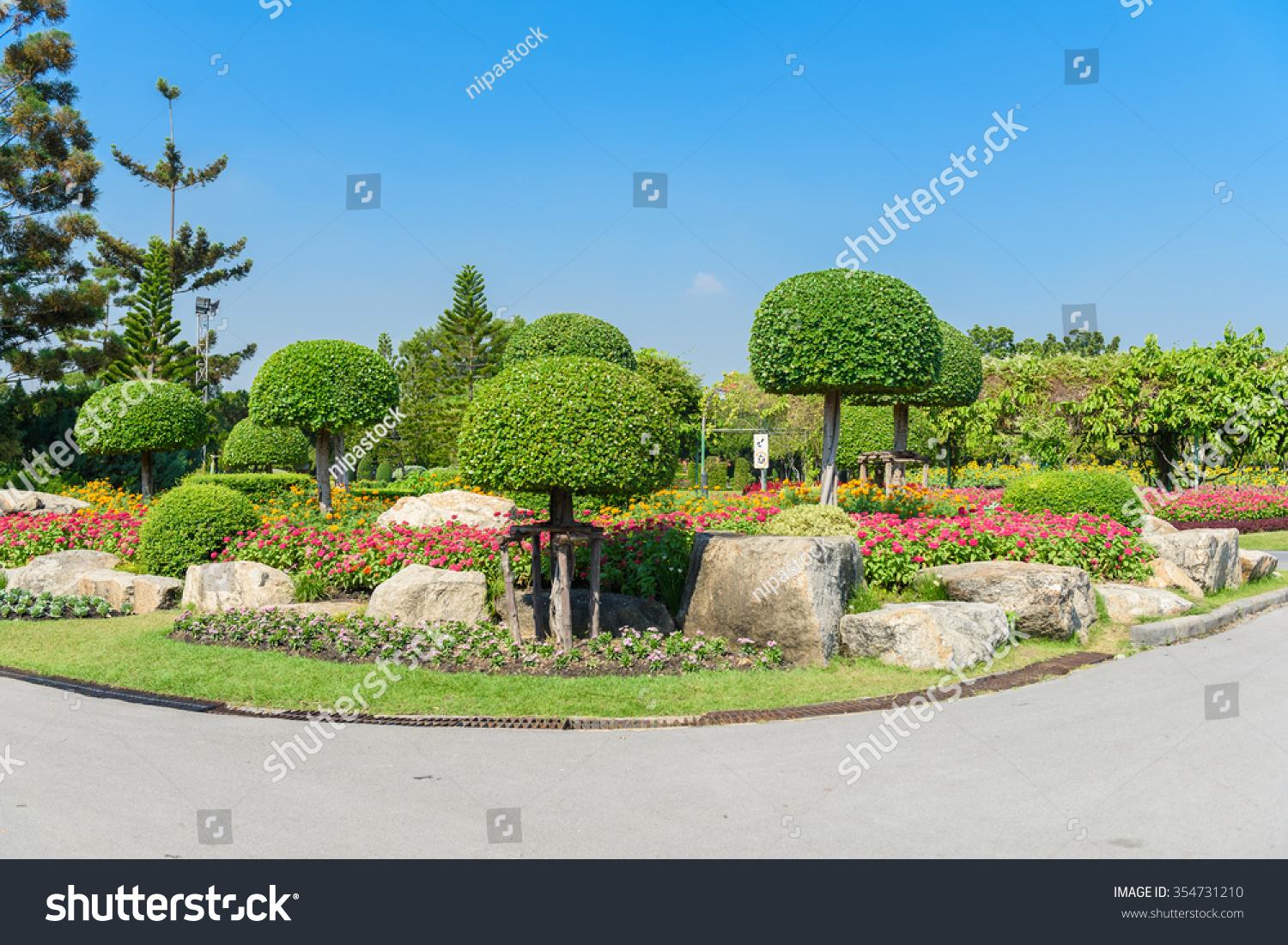Gardening and Landscaping With Decorative Trees and Plants #354731210